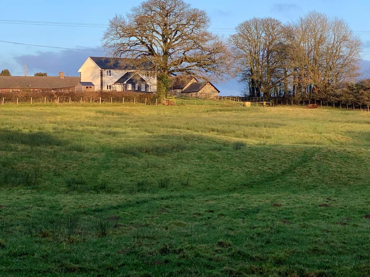 Вилла Maen Llwyd Llanyre Экстерьер фото