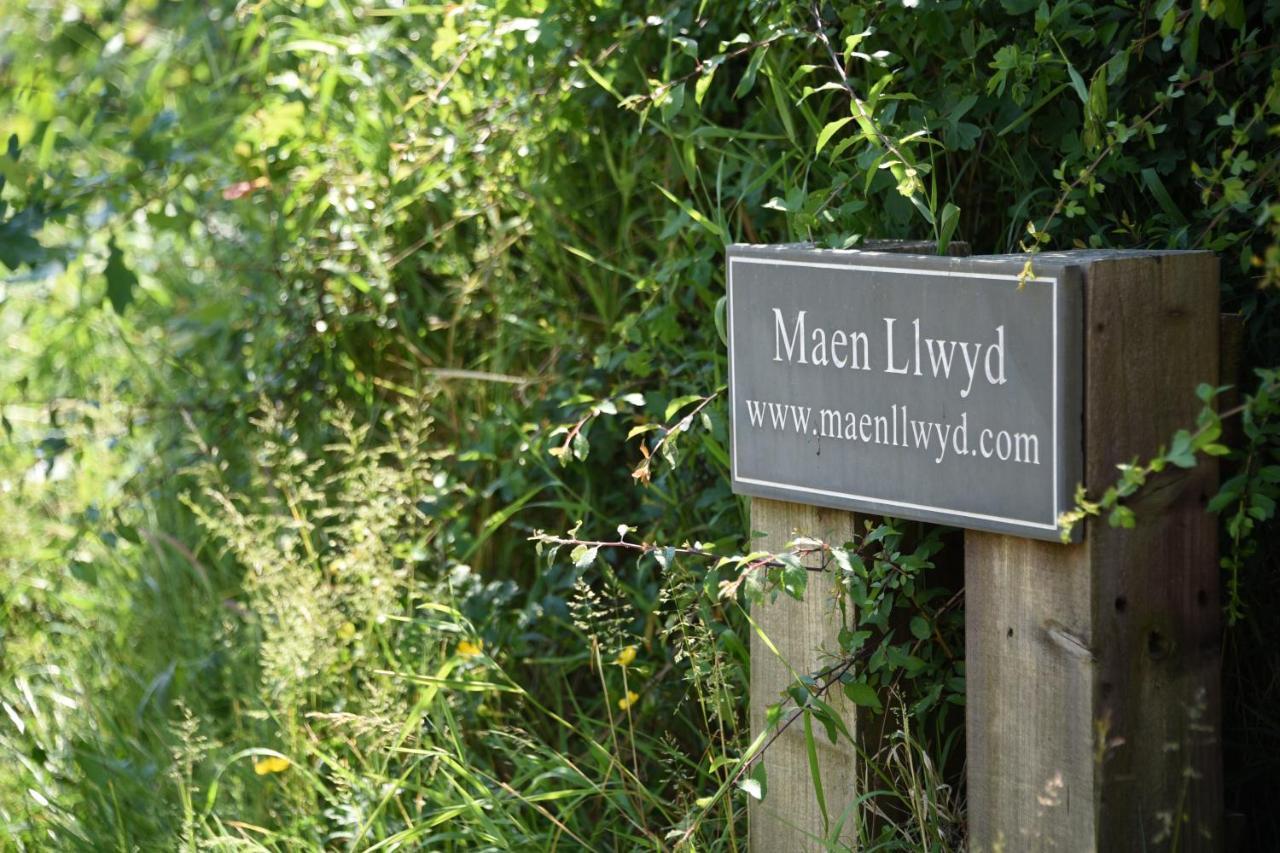 Вилла Maen Llwyd Llanyre Экстерьер фото